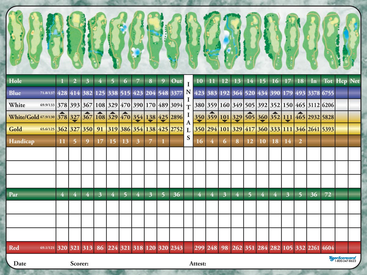 2021 scorecard